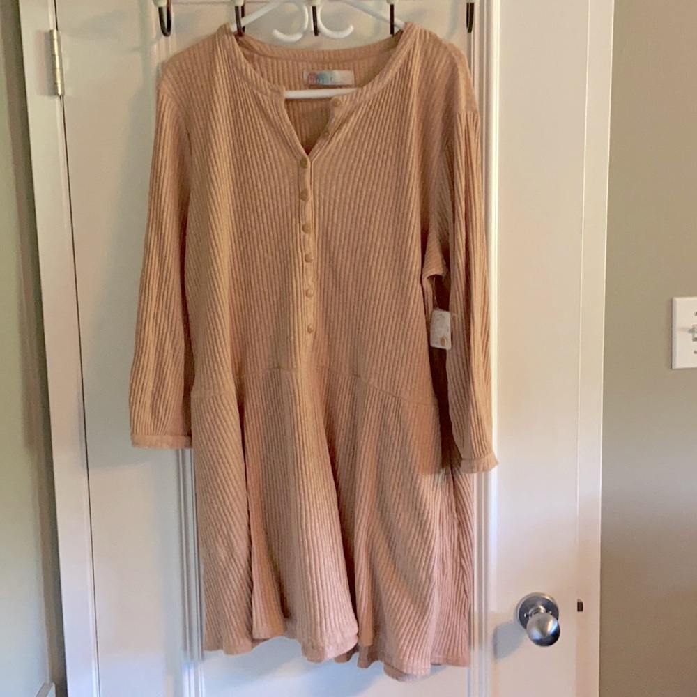 NWT Free People Soft Pink Tunic Dress